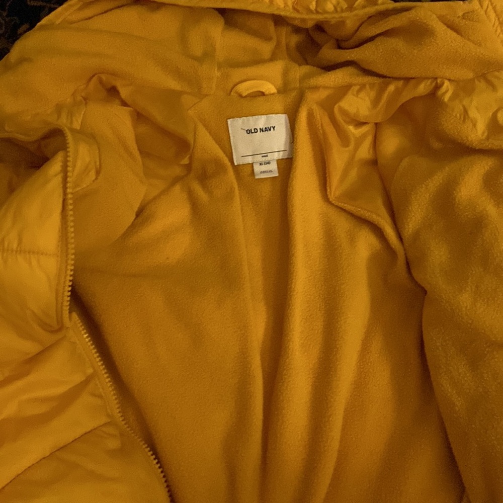 Yellow jacket - Picture 3 of 3